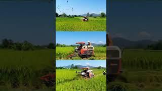 #Kubota #RiceHarvest #RiceHarvester #FarmingLife #Farming  #Agriculture #Harvest  #TractorLife