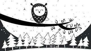 Midnight Owl Adventure - High Contrast Fun baby sensory video - Mozart Classical Music black white