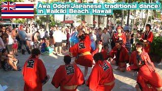 Awa Odori (Japanese traditional dance) in Hawaii, USA【TAKARABUNE】