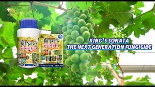 King's Sonata, New Generation of Fungicide.