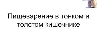 Что происходит в кишечнике + как часто нужно какать