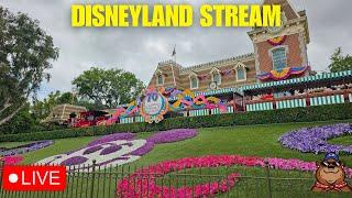  Live: All Day Fathers Day Stream at Disneyland! CHOC Walk Dedicated Stream - 06/14/25