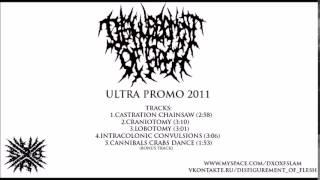 Disfigurement of Flesh - Ultra Promo 2011 (FULL DEMO)