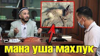 МУХЛУК МЕНИ МАХАЛЛАМДАН ЧИККАНДИ! ДОМЛА БАРЧА СИРЛАРНИ АЙТИБ КУЙДИ