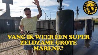 Vang ik mijn tweede Grote Marene? Vissen Noordzeekanaal. FishVlog#93.