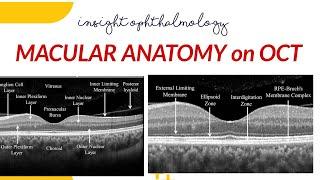 NORMAL MACULAR ANATOMY ON OCT