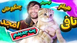 حیوان خونگی گرفتم بالاخره ! فکرشو نمیکردم بتونم از پسش بر بیام 