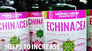 Echinacea 60 capsules - Echinacea purpurea extract