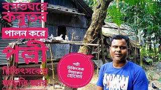 কবুতরের খামার গড়ে,পল্লী চিকিৎসকের সাফল্য || বসতবাড়িতে যেভাবে কবুতর পালন করবেন || Pegion Farming