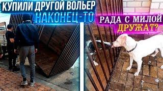 Купили вольер и будку в другом месте, НАКОНЕЦ-ТО. Мила и Рада.