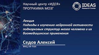 Лекция А.C. Седова. Подходы к изучению нейронной активности подкорковых структур мозга человека ...