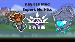 Terraria Dayrise Mod || All Bosses No-Hit