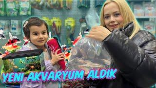 ANNEMLE AKVARYUMA YENİ BALIKLAR ALDIK ! ÇOK SEVİNDİM!