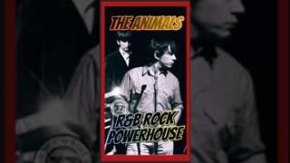 The Animals - R&B Rock Powerhouse