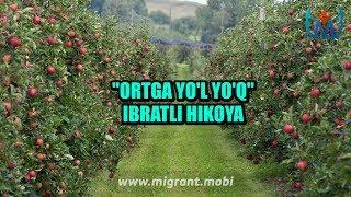 MUSOFIRLIK HAQIDA IBRATLI HIKOYA