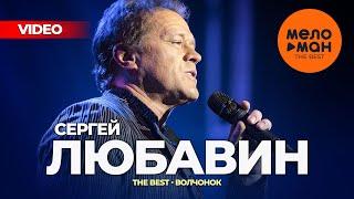 СЕРГЕЙ ЛЮБАВИН - The Best - Волчонок (Видеоальбом)