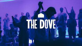 Cody Carnes – The Dove (Official Live Video)