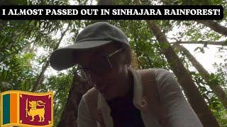 Hiking in SINHARAJA Rainforest! I WAS NOT PREPARED FOR THIS!!!