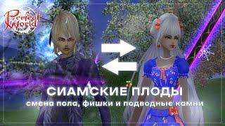 Смена пола в Perfect World | ГАЙД 2023