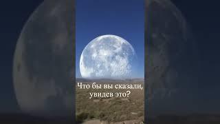 Что бы вы сказали, увидев это? #shorts #мегалофобия #страх