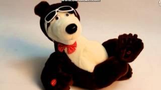 bear 2