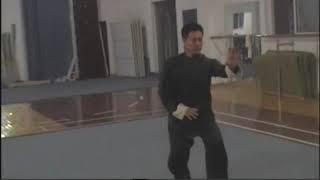 Синъицюань мастер Лу Фуцзюнь ушу // Xingyiquan master Lu Fujun wushu