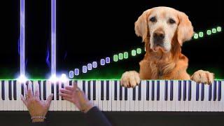 Dog Waltz -  Easy Piano Tutorial