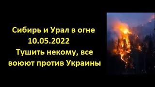 Сибирь и Урал в огне. 10.05.2022