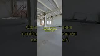 Помещение свободного назначения Щёкино, ️89202728385 