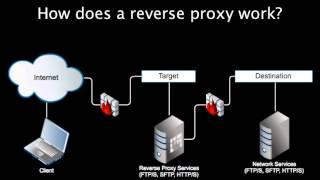 Introducing Reverse Proxy Servers