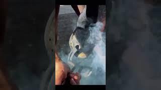 #tiktok #viral #foryou #fyp #hoofcare #farrier #farriersoftiktok #oddlysatisfyingvideo #asmr #horse