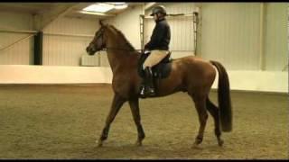 Richard Maxwell shows how to ride a spooky horse  TRAILER