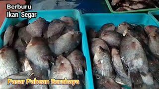 Berburu Ikan Segar di Pasar Pabean Surabaya #pasarpabean#pasartradisional