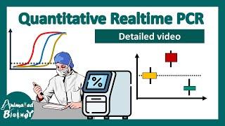 qPCR details | quantitative real time PCR | RT PCR | Biotechniques