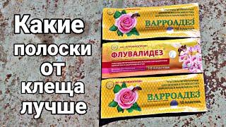 КАКИЕ ПОЛОСКИ ОТ КЛЕЩА ЛУЧШЕ ???