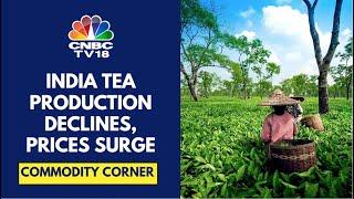 India's Tea Exports Surge 37% In First 4 Months Of 2024 | CNBC TV18