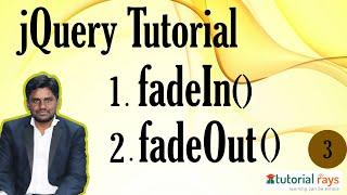 5  Jquery FadeIn FadeOut Effect | Jquery Tutorial | Jquery for begginners