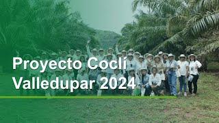 Proyecto Coclí Valledupar 2024