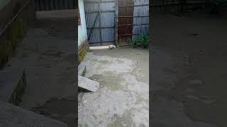 Ruko khulta hu,#shila@sr