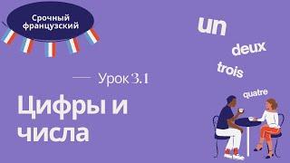 Урок 3.1  СРОЧНЫЙ ФРАНЦУЗСКИЙ  ЦИФРЫ и ЧИСЛА на французском 0-69