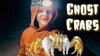 How to Catch Ghost Crabs on the Beach at Night! Fun Adventures for Kids!