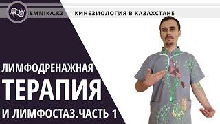 Лимфодренажная терапия и лимфостаз. Бесплатные уроки. Часть 1