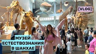 КУДА СХОДИТЬ В ШАНХАЕ? IKEA, БУРГЕРЫ, МУЗЕЙ #жизньвкитае #китай #шанхай #влог