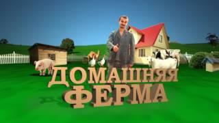 Домашняя ферма. Декоративные птицы