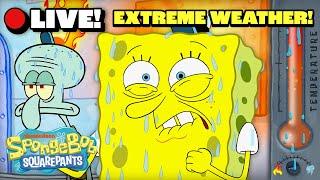  LIVE: SpongeBob's Most Extreme Weather Marathon! ️ | @SpongeBobOfficial