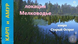 Русская рыбалка 4 - озеро Старый Острог - Карп и амур за островком