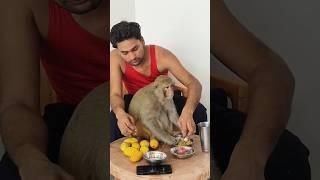 monkey rani akash have breakfast together #ranivlogrbl #youtubeshorts #shorts