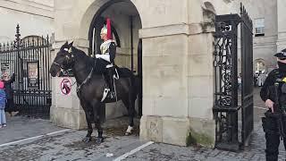 Horse has a spin out moment #horseguard