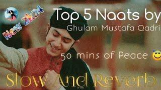 Top 5 Naat shareef | Ghulam Mustafa Qadri | Slow and Reverb |Islamic Lofi #ghulammustafaqadri