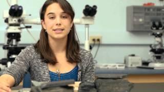 Digging In: Undergraduate Research at Colby